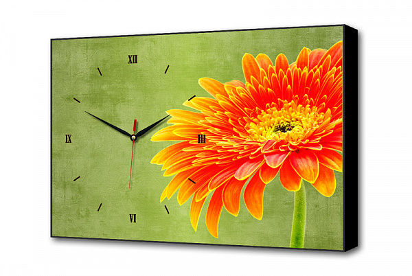 Изображение Настенные часы Цветочная улыбка Timebox Toplight 37х60х4см TL-C5032