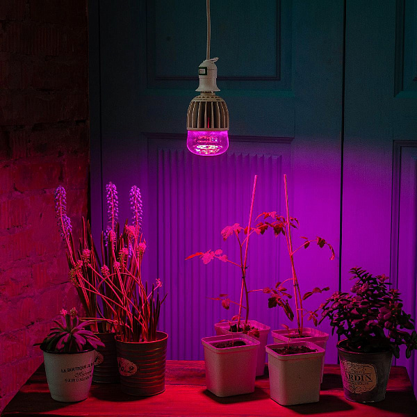 Изображение Лампа светодиодная для растений (11098) Uniel E27 20W прозрачная LED-M80-20W/SP/E27/CL ALS55WH