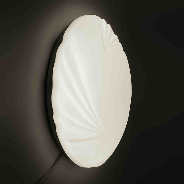 Изображение Настенно-потолочный светильник Apeyron 18-025