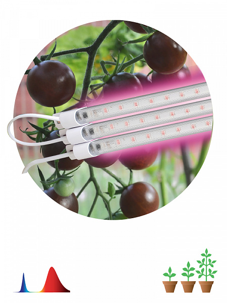 Изображение Светильник для растений Эра FITO-3х10W-LINE-RB90 Б0050924