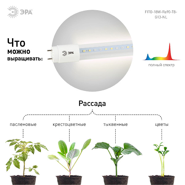 Изображение Фитолампа для растений светодиодная Эра G13 18W 1200K FITO-18W-Ra90-Т8-G13-NL Б0042987