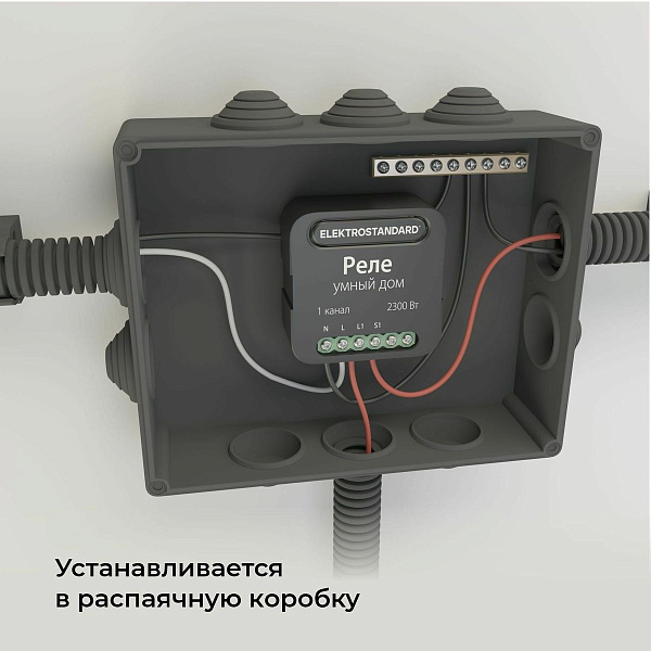 Изображение Умное одноканальное реле Elektrostandard 4690389185069 a059324