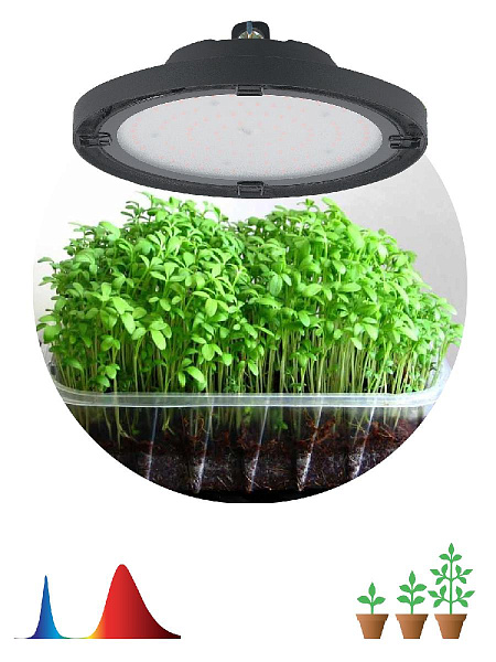 Изображение Фитопрожектор для растений Эра FITO-50W-RB-LED-UFO Б0053280