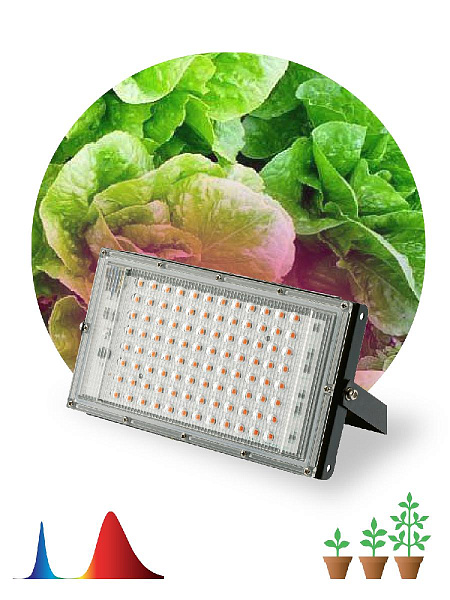 Изображение Фитопрожектор для растений Эра FITO-80W-RB-LED-Y Б0053082