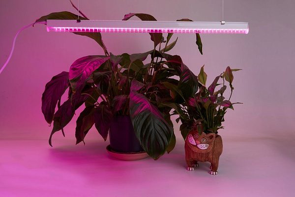 Изображение Светодиодный светильник для растений Feron AL7001 41352