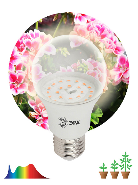 Изображение Фитолампа для растений светодиодная ЭРА E27 11W 2150K FITO-11W-Ra90-E27 Б0039172