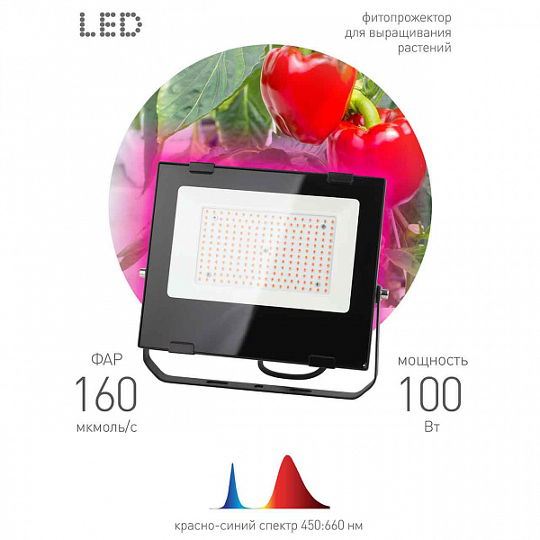 Изображение Фитопрожектор для растений ЭРА FITO-100W-RB-LED Б0046369