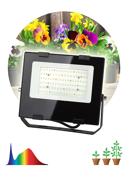 Изображение Фитопрожектор для растений ЭРА FITO-50W-Ra90-LED Б0047875
