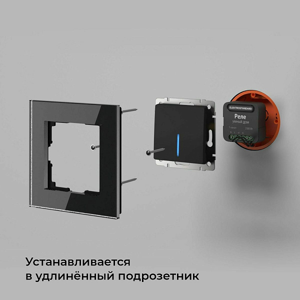 Изображение Умное двухканальное реле Elektrostandard 4690389185083 a059326