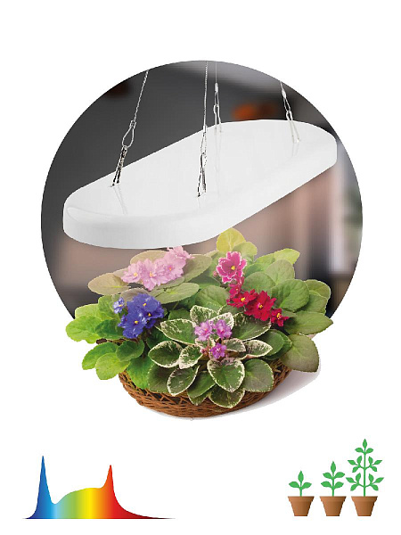 Изображение Подвесной светильник для растений Эра FITO-25W-QLED-FLY Б0053062