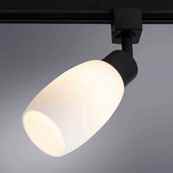 Изображение Светильник на шине ARTE Lamp A3055PL-1BK