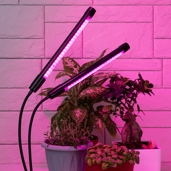 Изображение Светильник для растений Эра FITO-20W-АLED-N Б0053059