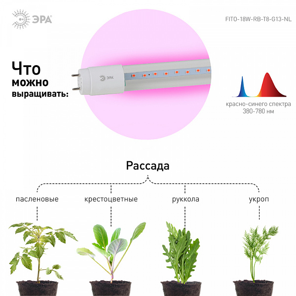 Изображение Фитолампа для растений Эра FITO-18W-RB-Т8-G13-NL Б0042990