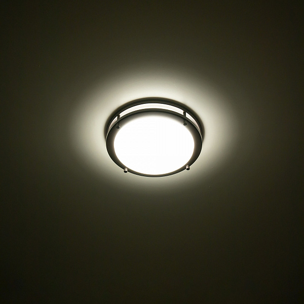 Изображение Настенно-потолочный светильник Citilux Бостон CL709205N