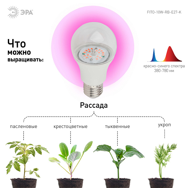 Изображение Фитолампа для растений светодиодная ЭРА E27 10W 1310K FITO-10W-RB-E27-K Б0039069
